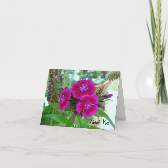 Violet Sweet Williams - Floral Notecard (Front)