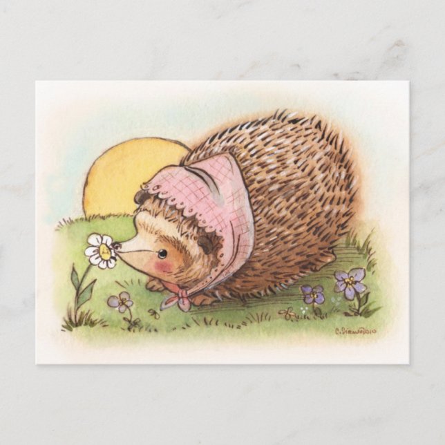 Violet the Hedgehog Postcard (Front)