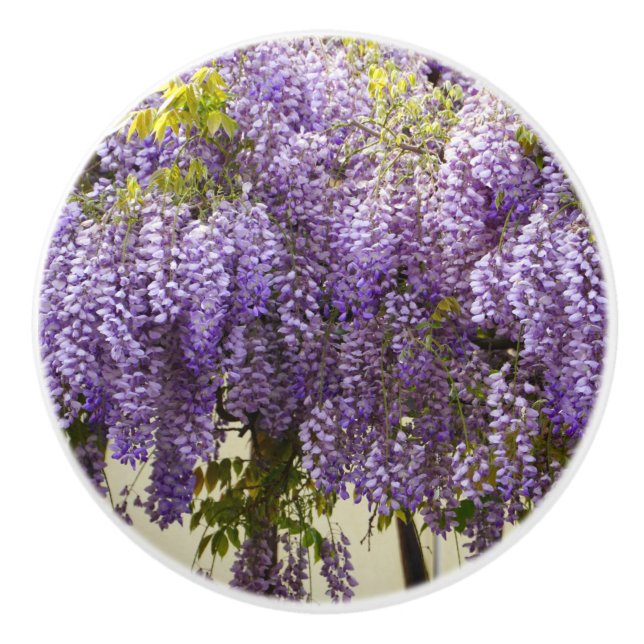 Violet Wisteria Flowers Ceramic Knob (Front)