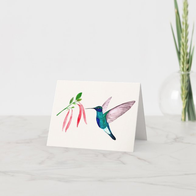 Violetear Hummingbird Greeting Card (Front)