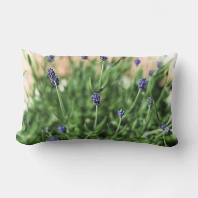 Violets Pillow (Front)