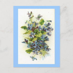 violets postcard
