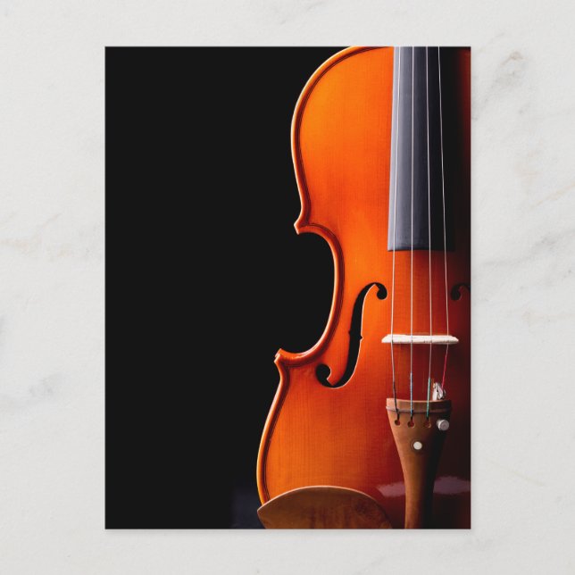 Violin classical music  postcard (Front)