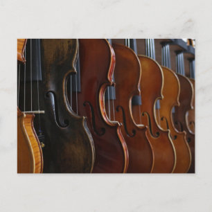 Violin Lineup Postcard