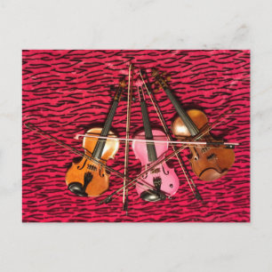 Violin Photo gifts Postcard