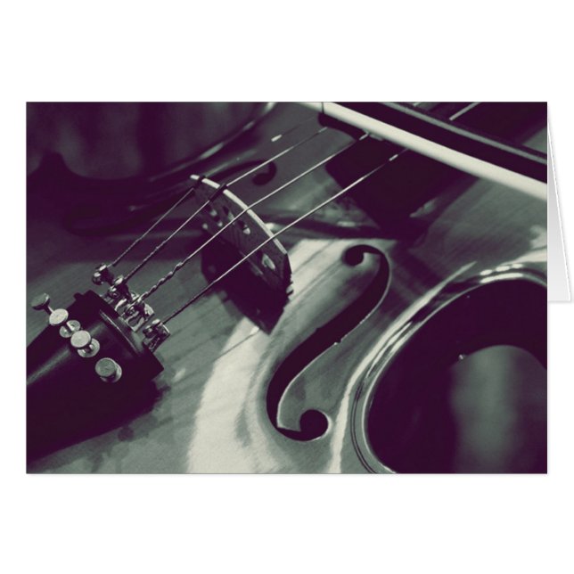 Violin Viola Cello l Photography (Front Horizontal)