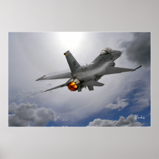 Viper in the Sun Poster