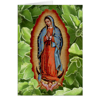 VIRGEN DE GUADALUPE COLECTION