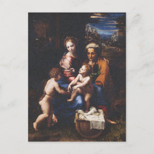 Virgin Mary and Child with John the Baptist Postcard