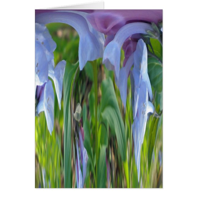 Virginia Bluebells Abstract (Front)