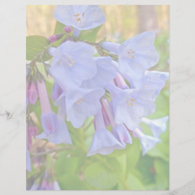 Virginia Bluebells Coordinating Items (Front)