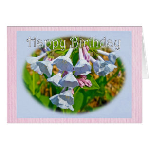 Virginia Bluebells Happy Birthday Coordinated Item