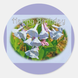 Virginia Bluebells Happy Birthday Coordinated Item Classic Round Sticker