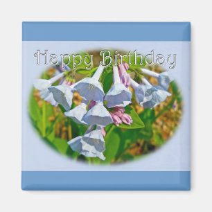 Virginia Bluebells Happy Birthday Coordinated Item Magnet
