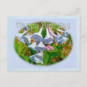 Virginia Bluebells Happy Birthday Coordinated Item Postcard
