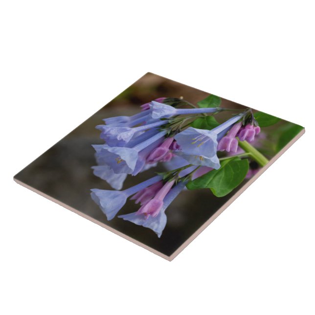 Virginia Bluebells Wildflower Tile (Side)