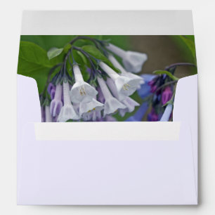 Virginia Bluebells Wildflowers Envelopes