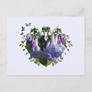 Virginia Bluebells Wildflowers Postcard