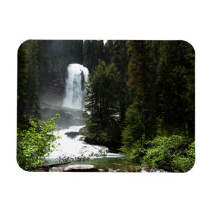 Virginia Falls at Glacier National Park Magnet