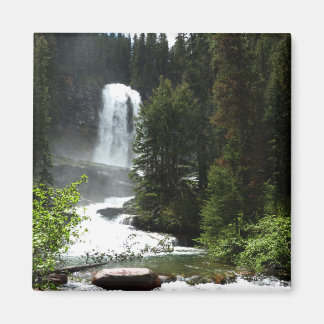 Virginia Falls at Glacier National Park Magnet
