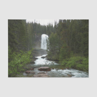 Virginia Falls at Glacier National Park Tissue Paper