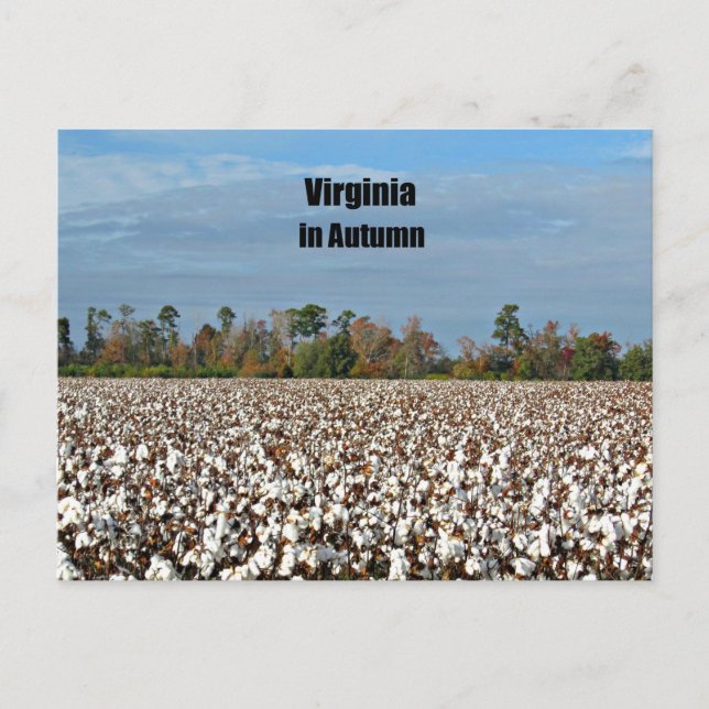 Virginia in Autumn Postcard (Front)