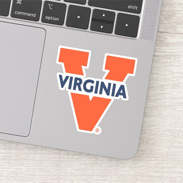 Virginia Split V (Detail)
