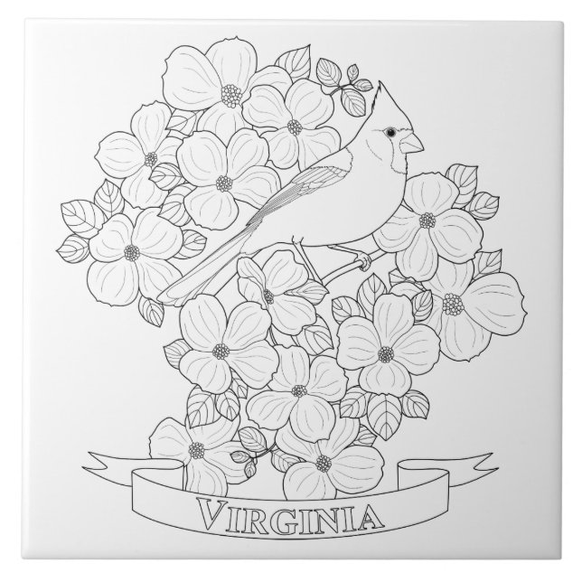 Virginia State Bird and Flower Colouring Page Tile (Front)