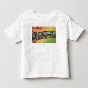 VirginiaLarge Letter ScenesVirginia Toddler T-Shirt