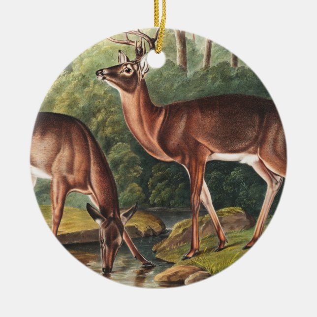 Virginian Deer (Cervus Virginianus) Illustration Ceramic Tree Decoration (Front)