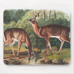 Virginian Deer (Cervus Virginianus) Illustration Mouse Pad