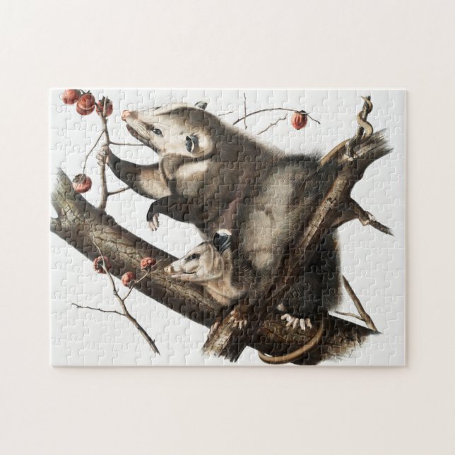 Virginian Opossum Didelphis Virginia Illustration Jigsaw Puzzle (Horizontal)