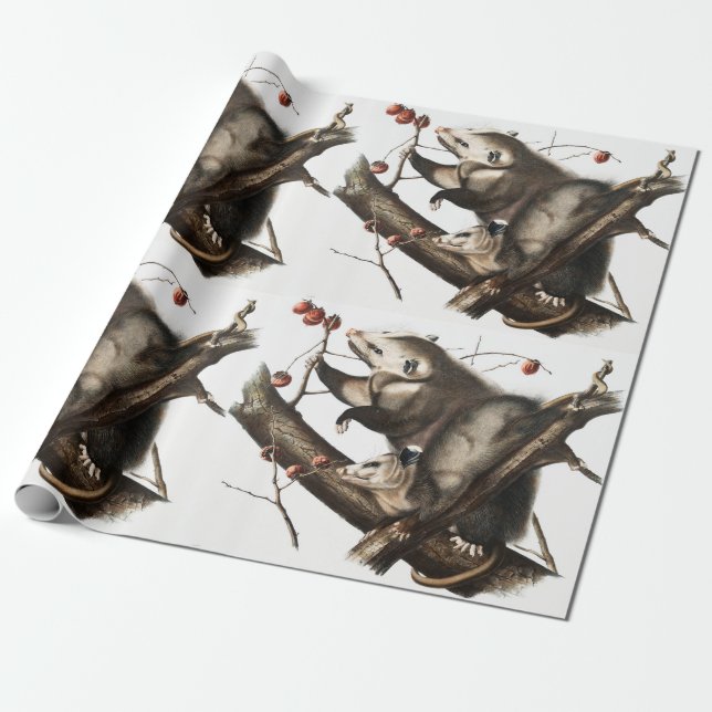 Virginian Opossum Didelphis Virginia Illustration Wrapping Paper (Unrolled)