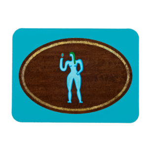 Virgo 2008 magnet