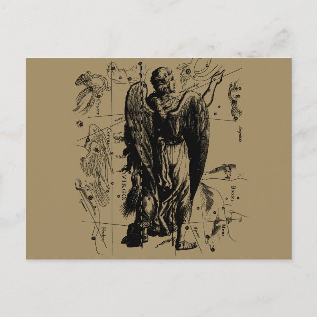 Virgo Constellation Hevelius Etching Style Postcard (Front)