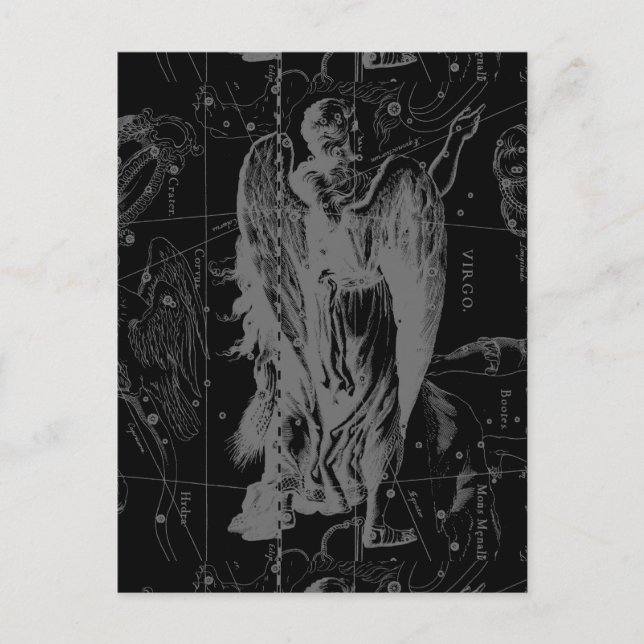 Virgo Zodiac Constellation Hevelius 1690 Postcard (Front)