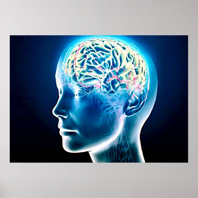 Virtual Human Brain Airbrush Art Poster (Front)