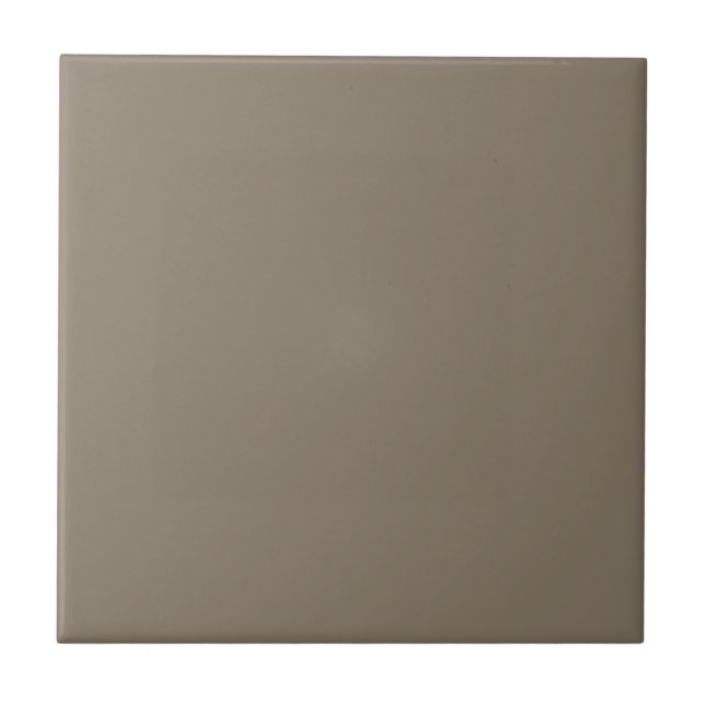 Virtually Taupe Square Kitchen and Bathroom  Tile (Front)