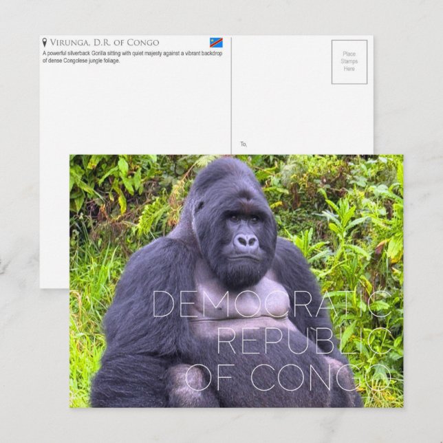 Virunga, Democratic Republic of Congo Travel Postcard (Front/Back)