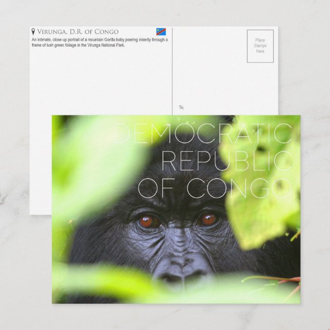 Virunga, Democratic Republic of Congo Travel Postcard (Front/Back)