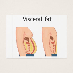 Visceral fat
