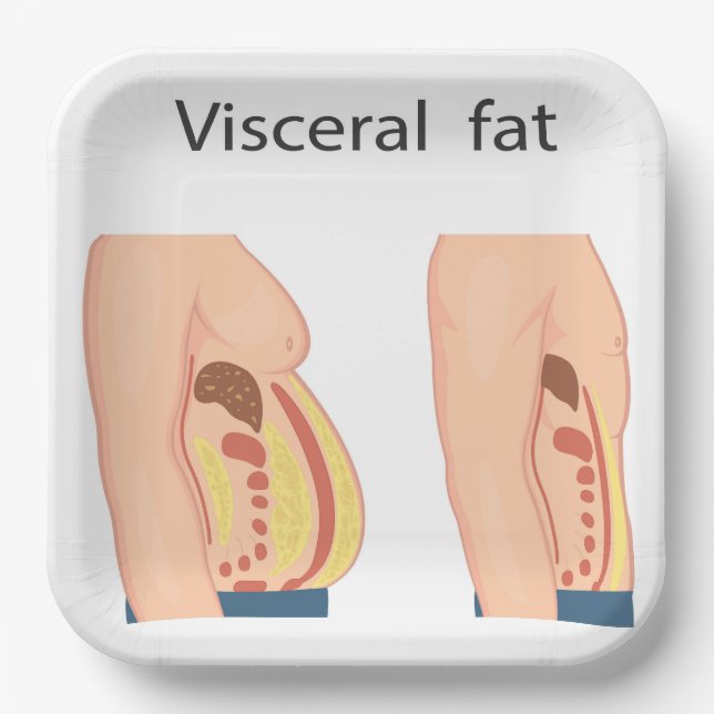 Visceral fat paper plate (Front)