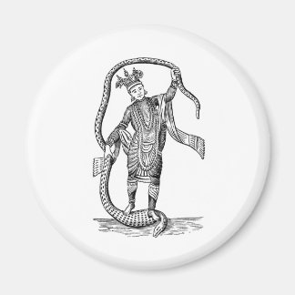 Vishnu in the 8th avatar magnet