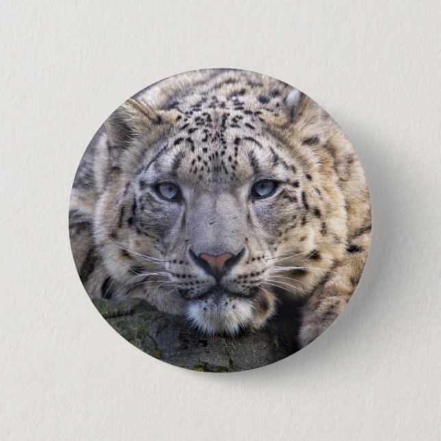 Vishnu Snow Leopard Badge (Front)