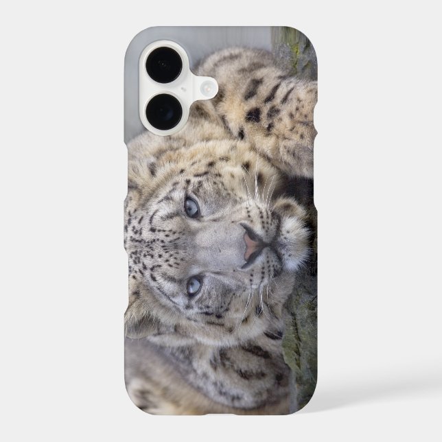 Vishnu Snow Leopard iPhone 11 Case (Back)