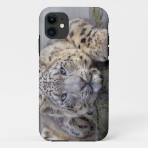 Vishnu Snow Leopard iPhone 5 Case-Mate Case