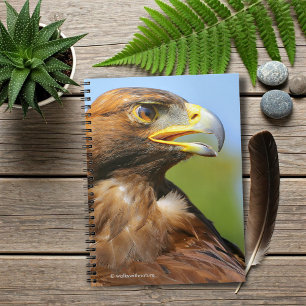 Vision of a Beautiful Young Golden Eagle Spiral Notebook