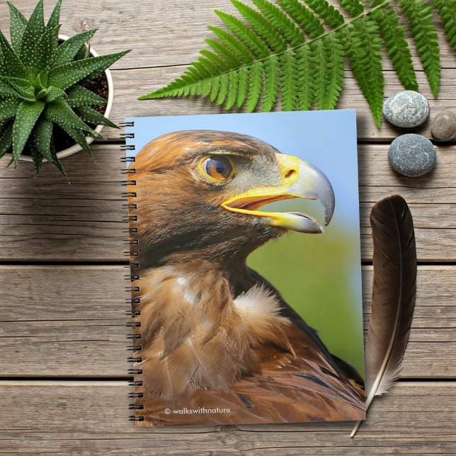 Vision of a Beautiful Young Golden Eagle Spiral Notebook (Vision of a Beautiful Young Golden Eagle Journal Cover Photo)