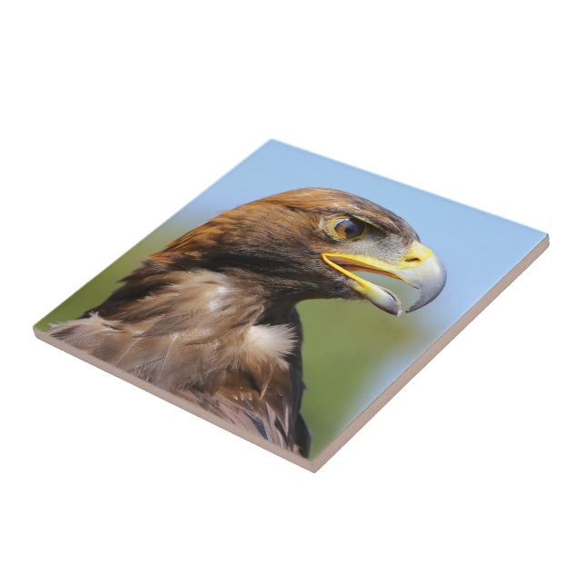 Vision of a Beautiful Young Golden Eagle Tile (Side)