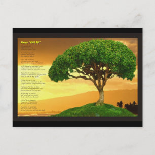 Vision “OWE TO” Postcard